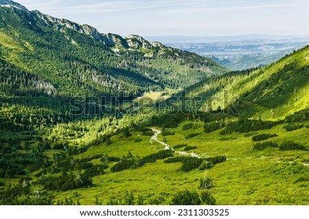 Beautiful green valley in mountains. Valley (Dolina Kondratowa) in Tatras, Poland. Wonderful landscape in Tatra Mountains.