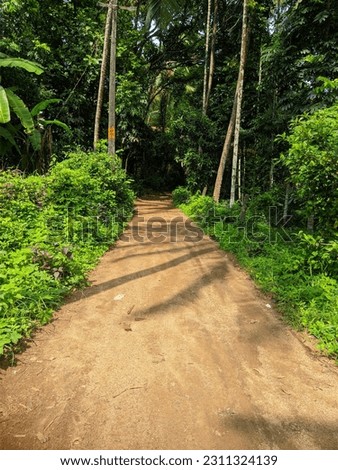 a beautiful picture of a path
