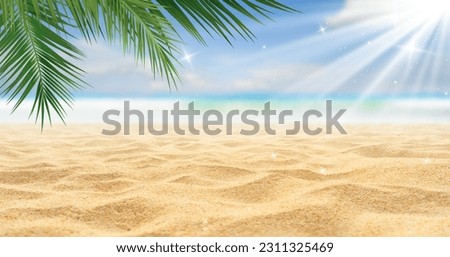 Beautiful sandy beach with blur sky and tree summer with sun light