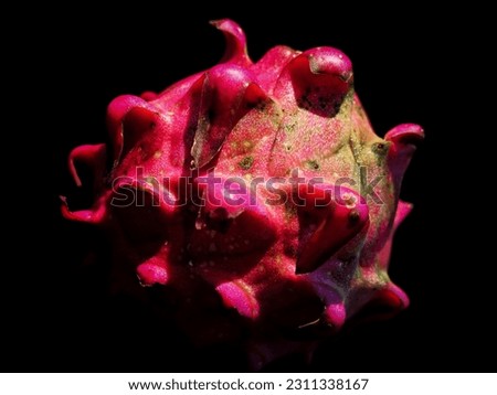 Dark mood photography. Soft focus Pitaya fruit, commonly called Red Dragon fruit, isolated on dark background. Macro. Still life