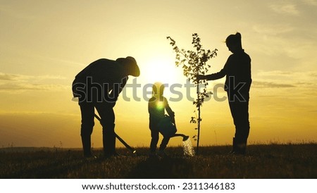 fresh sapling tree sunset, young roots, soil earth, plant garden, silhouette happiness family father mother child, child planting trees, farmer family silhouette sunset, farm, save world, mom dad