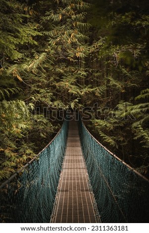 A moody suspension bridge traverses through a lush green forest, British Columbia, Vancouver Island Royalty-Free Stock Photo #2311363181