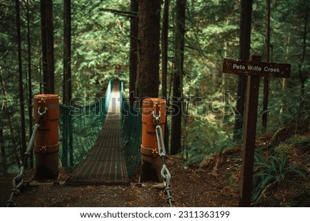 A suspension bridge leading through a forest in British Columbia, Vancouver Island