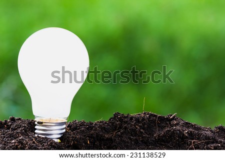 Light bulb plant in soil as idea or energy concept