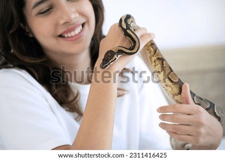 Teen girl with her snake exotic pet, Ball Python, smiling girl holding Royal python in her hands at home, selective focus