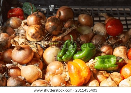 onions, peppers, vegetables in convenience store 