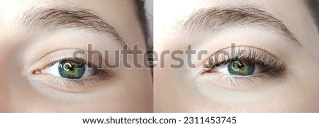 close up of eyelash extensions in beauty salon macro eye.2d ,3d ,russian volume, mega volume,kim k, classical lashes, before and after treatment Royalty-Free Stock Photo #2311453745