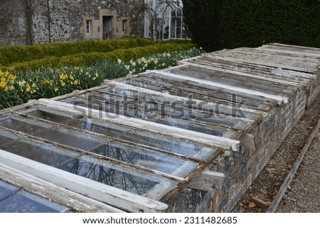 Brick cold frame greenhouse in a garden in Scotland, UK Royalty-Free Stock Photo #2311482685