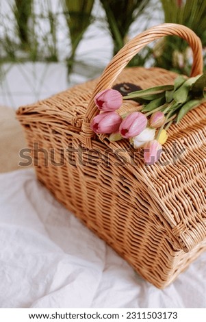 Wicker basket with pink tulips. High quality photo