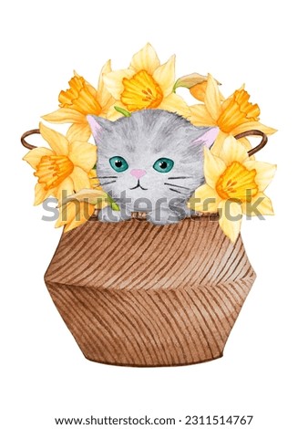 Fluffy gray cat in a basket with flowers daffodils. Cute watercolor illustration on the theme of pets. Ready-made design for a poster, card, invitation, congratulations, print on fabric, etc.