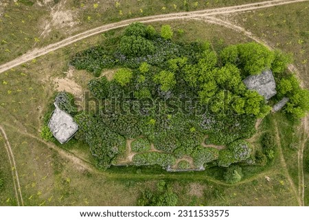 Top view of the old fort overgrown with lilac bushes in Brest, Belarus