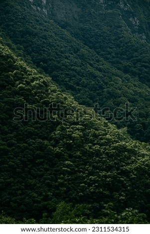 MOUTAIN NATURE GREEN LANDSCAPE PICTURE