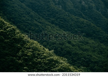 MOUTAIN NATURE GREEN LANDSCAPE PICTURE