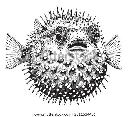 Puffer fish hand drawn sketch in doodle style illustration