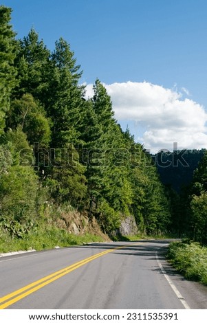 road green nature picture landscape