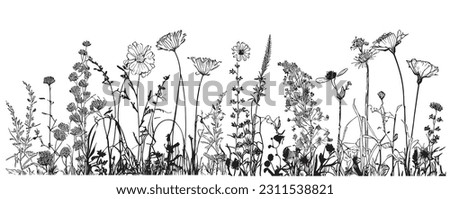 Wild flowers field border sketch hand drawn in doodle style Royalty-Free Stock Photo #2311538821