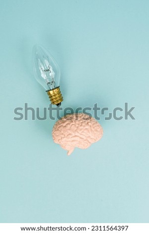 Brain and light bulb. Brainstorming, creative idea, abstract icon. Place for text. The brain generates ideas. Concept photo. Symbol of creativity, creative idea, mind, thinking. Good idea