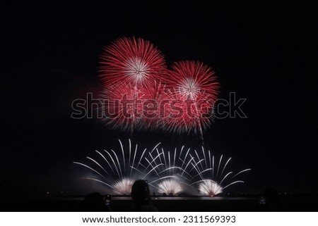 Mie Kuwana Suigo Fireworks Festival