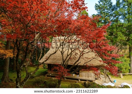 "Autumn Splendor: Serene Temples and Gardens of Japan