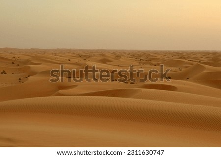 Desert dunes scenery at sunset