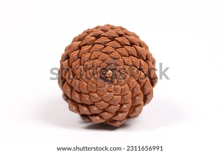 Detail of a large pine cone, isolated on white Royalty-Free Stock Photo #2311656991