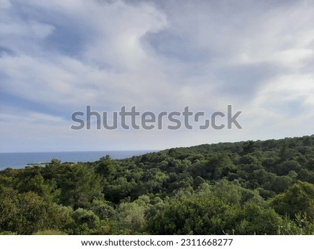 Harmonious photo of lush forest cloudy sky calm sea