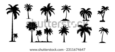Palm tree silhouette isolated on white background. Summer vacation beach set elements design vector illustration