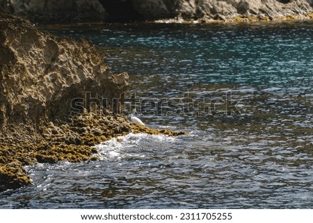 Landscape from the boat to the sea and system of rocks in the water on a sunny day