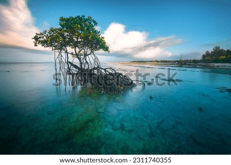The view during the day before the afternoon on the beautiful Mentawai Islands beach. decorated with mangrove trees, coconuts, beautiful white beaches, rocks, and big waves for surfing spots. blue sky Royalty-Free Stock Photo #2311740355