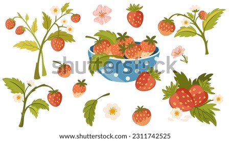 Strawberry set. Wild Forest strawberries berries, flowers and green leaves. Hand drawn vector illustration clip art collection for web, print design