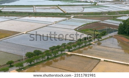 Agricultural machinery that waters and plows the soil in a checkerboard-shaped paddy field in the rice planting season