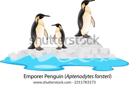 Emperor penguin cartoon on the rock illustration