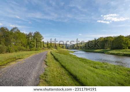 Hiking trail woods, green trees , season vacation, copy space relaxation lifestyle