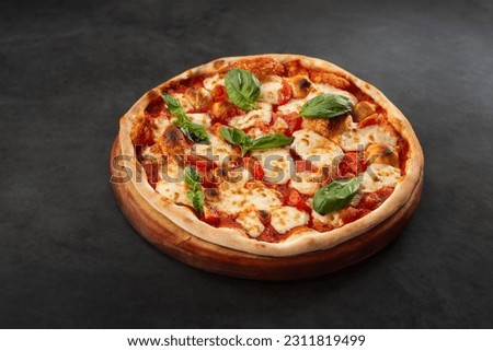 an Italian delicious Margarita Pizza  