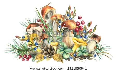 Forest mushrooms, boletus, chanterelles and blueberries, lingonberries, twigs, cones, leaves. Watercolor illustration, hand drawn. Isolated composition on a white background.