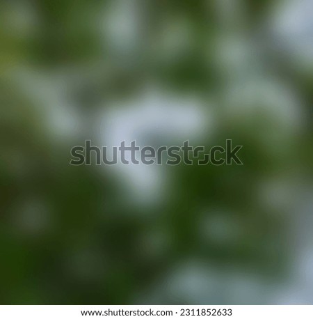 Blur background of green and light blue sky of nature shades 
