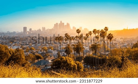 the skyline of los angeles during sunset Royalty-Free Stock Photo #2311877229