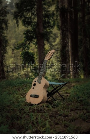 Blur and noise image of Guitar Classic on the forest 