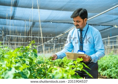 Indian officer or agro expert noting plant or crop conditions by checking at greenhouse - concept of professional occupation, modern agriculture and small business.