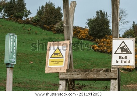 Cows with Calves and Bull in Field sign, attached to a wooden ladder stile on public footpath in rural North Yorkshire, Agricultural field with gorse.  Horizontal.  Space for copy.