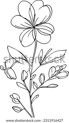 Wild flowers drawings, Wild flowers Set on the doodle art, coloring page vector sketch hand-drawn illustrations, and beautiful botanical element, Delicate Flowers Print. 