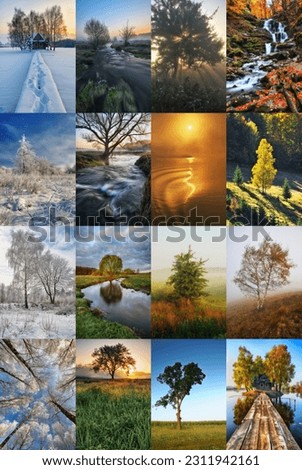 Four Seasons Collage - Spring, Summer, Autumn, Winter. landscape of Ukraine
