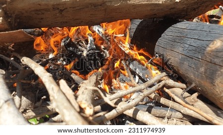 Fire burning Campfire isolated background. Closeup of a pile of firewood burning yellow flames.