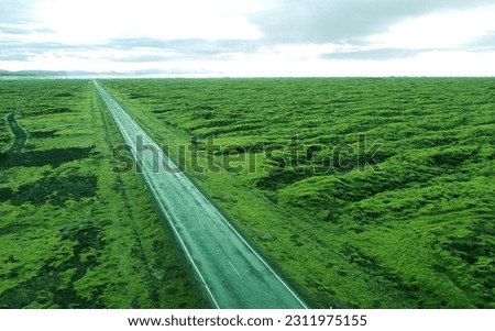 Aerial view of the beautiful northern road in the middle of the green field of Iceland. Photography for tourism background, design and advertising