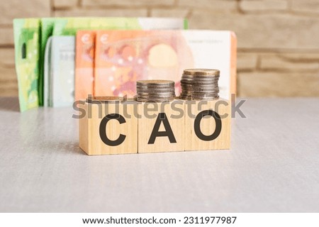 business concept. cubes with the inscription -CAO. euro and monet on grey table
