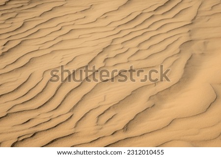 Background picture of desert image.