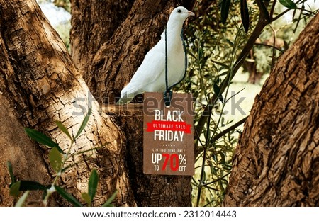 white pigeon hanging tag with black Friday sale concept through olives tree 