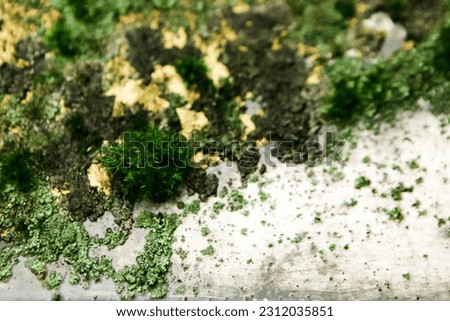 Close up of moss on metal surface. Saint Patrick day background