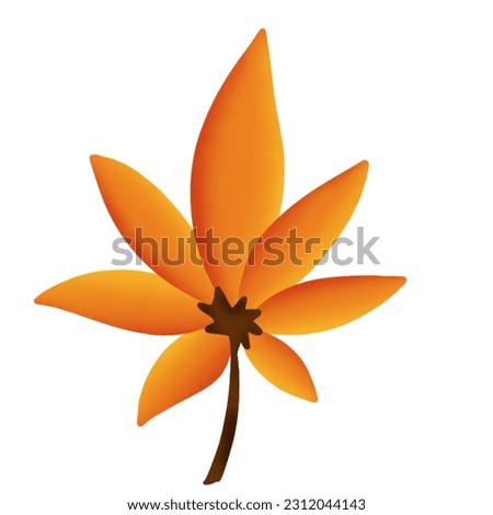 hand drawn orange leaf illustration