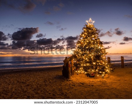 Christmas tree with lights on the beach at sunset